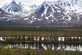 Denali NP, Alaska USA